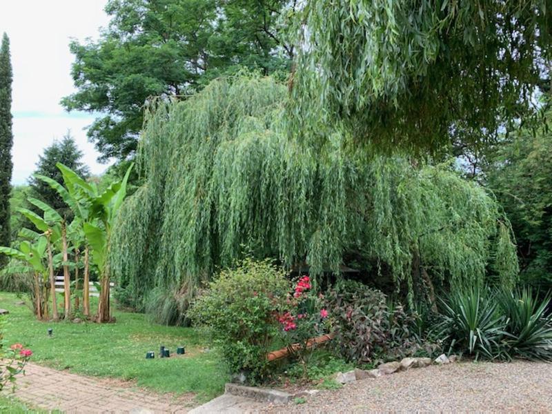 Gites Matilon, 5 Min Eugenie Les Bains Buanes Экстерьер фото
